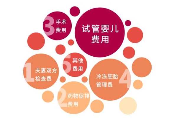 海南藏族试管借卵生孩子_2021年在上海做试管婴儿大约需要多少钱？